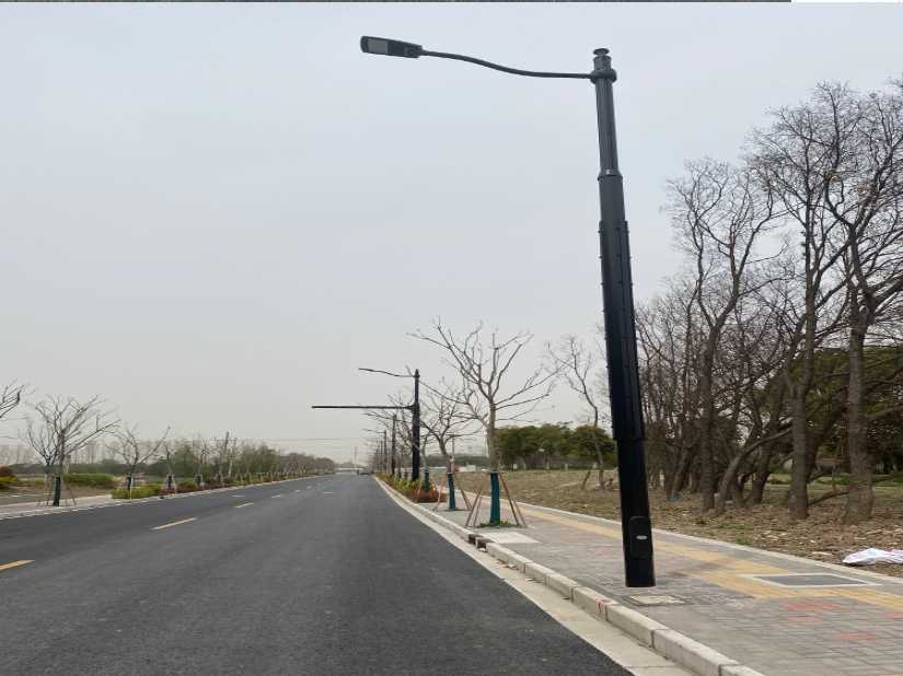 兴宁区上海综合杆 太阳能路灯工程